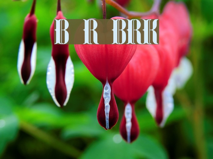 Blackoninaut Redux BRK Font examples