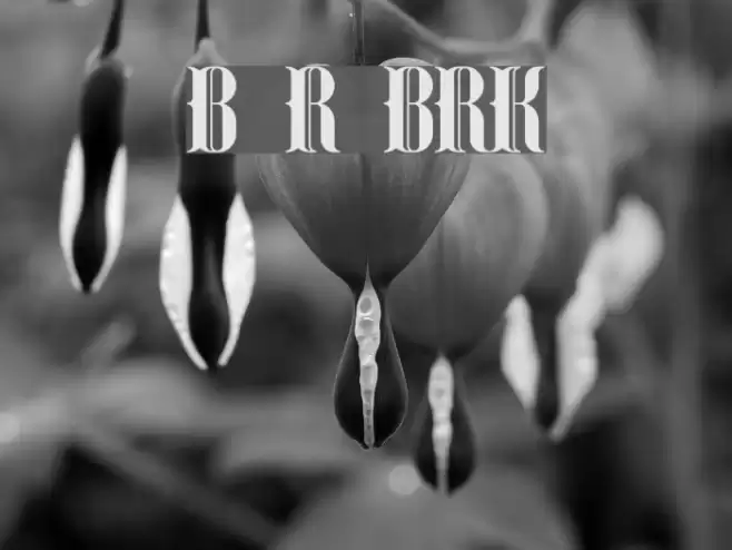 Blackoninaut Redux BRK Font examples