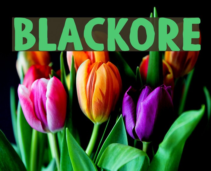 Blackore Font examples