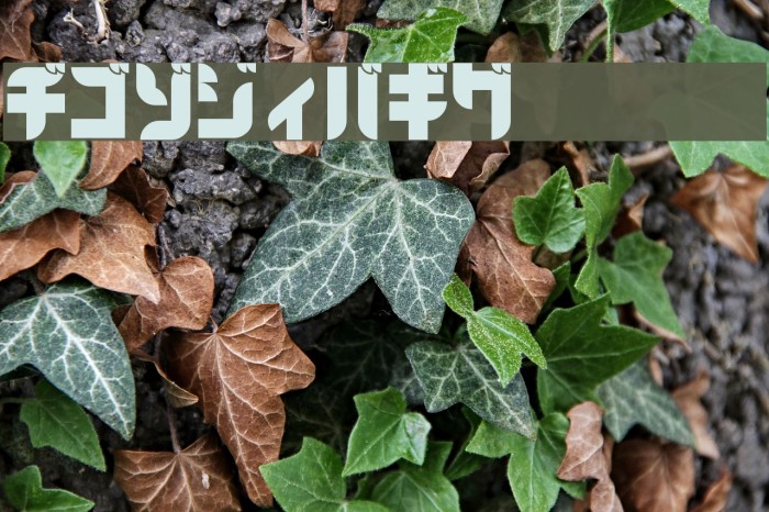 BlackoronKat Font examples