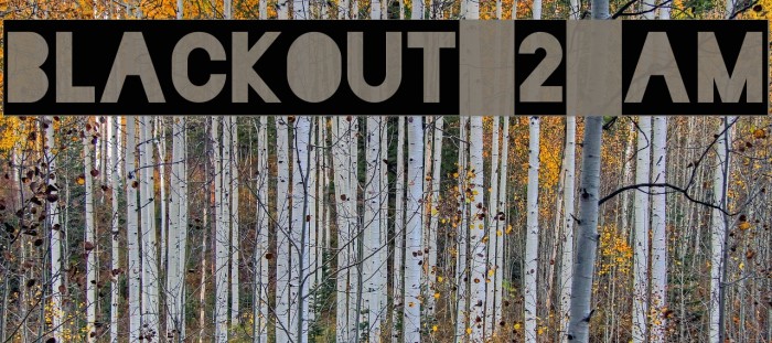 Блэкаут 2. Шрифт Blackout 2am. Blackout шрифт. Blackout Safari песня.