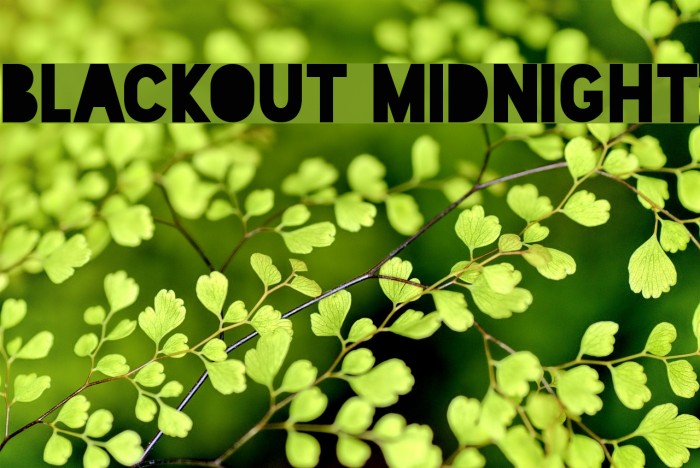Blackout Midnight Font examples