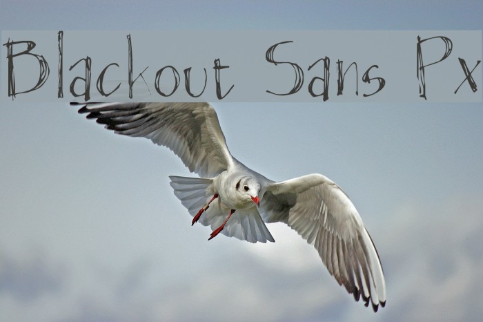 Blackout Sans Px Example 1
