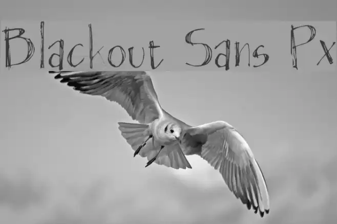 Blackout Sans Px Font examples