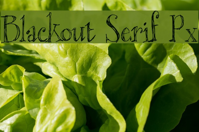 Blackout Serif Px Example 3