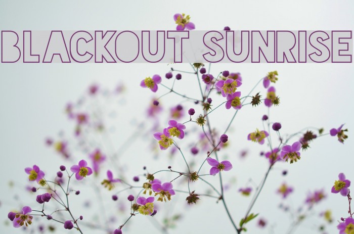 Blackout Sunrise Font examples