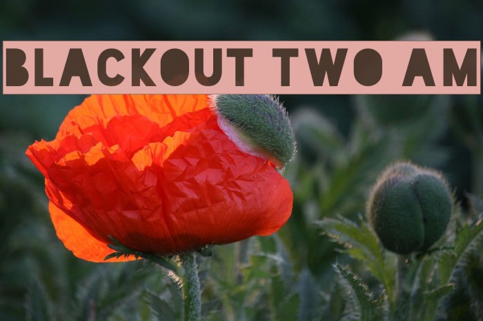 Blackout Two AM Font examples