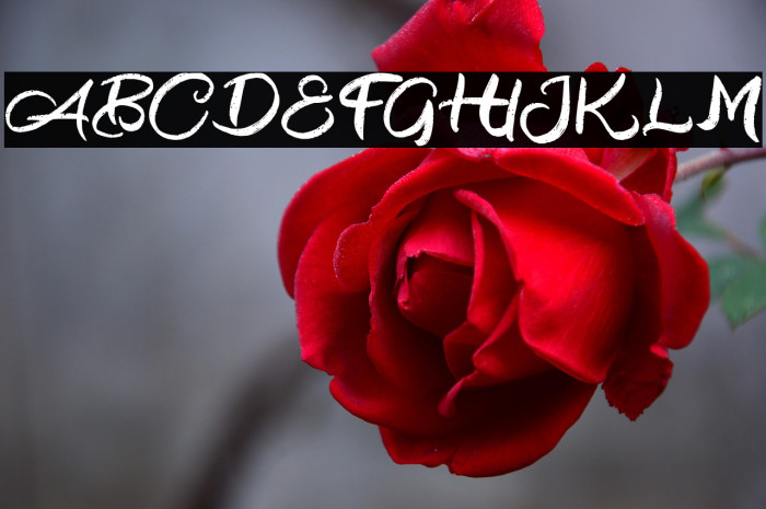 BlackoutFREE Example 1