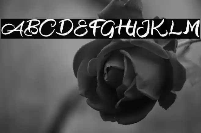 BlackoutFREE Font examples