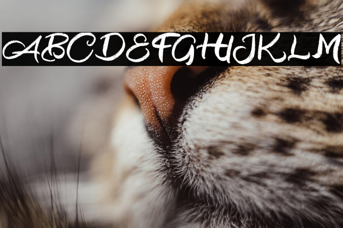 BlackoutFREE Example 3