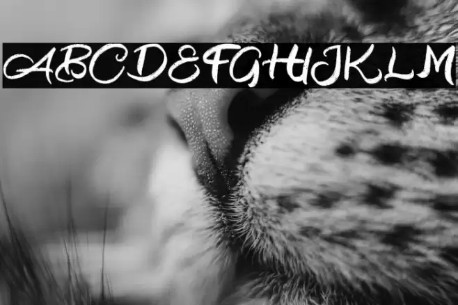 BlackoutFREE Font examples