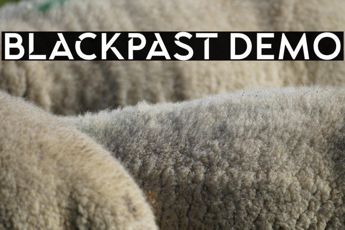 Blackpast DEMO Example 3