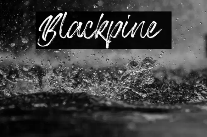Blackpine Font examples