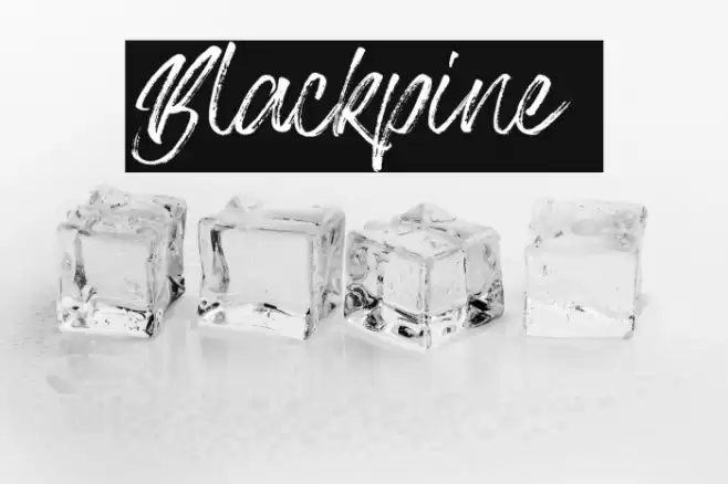 Blackpine Font examples
