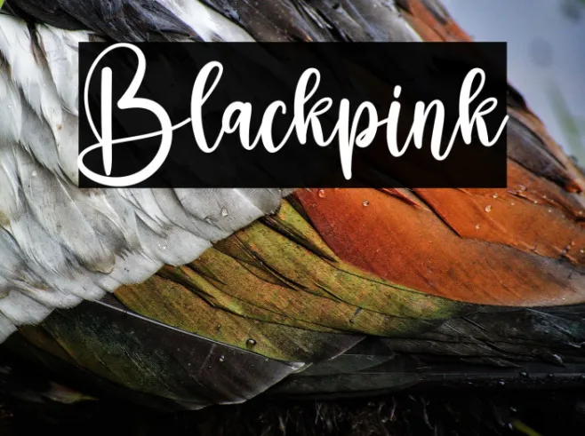Blackpink Example 2