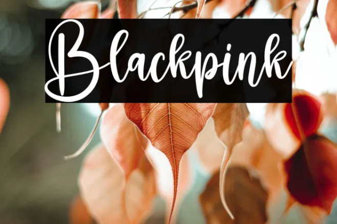 Blackpink Example 3