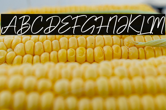 Blackpool Blackpool Example 1