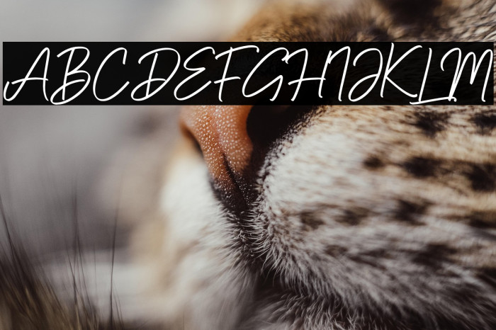 Blackpool Blackpool Example 3