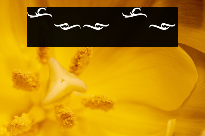 Blackrose Ornament Example 1