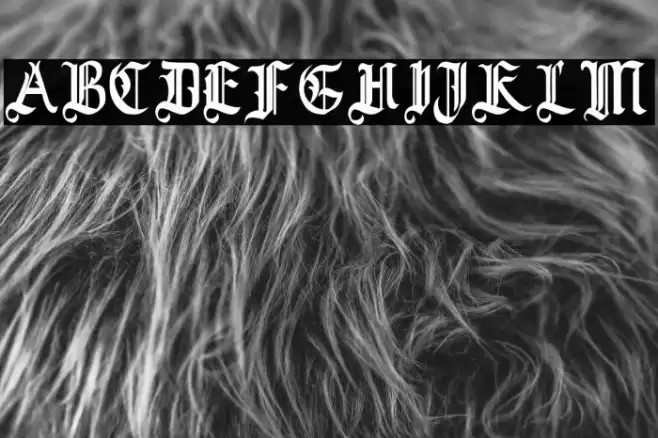 Blackrose Font examples