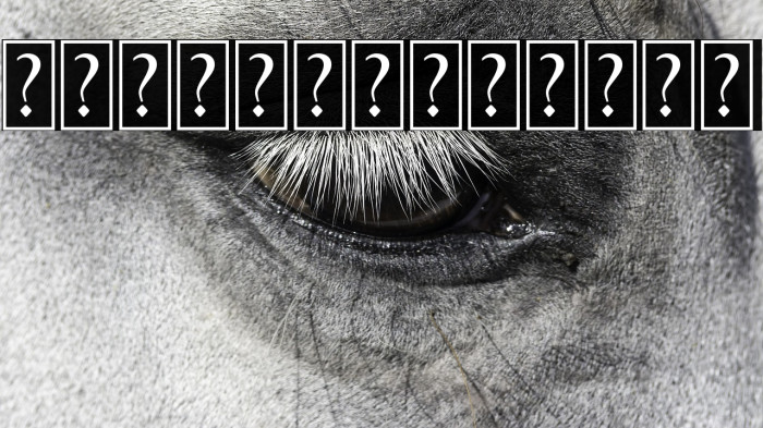 BlackroseOrnament Example 1