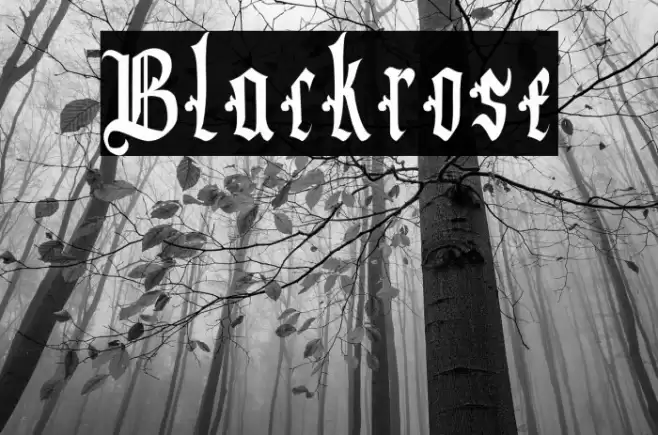 Blackrose Font examples