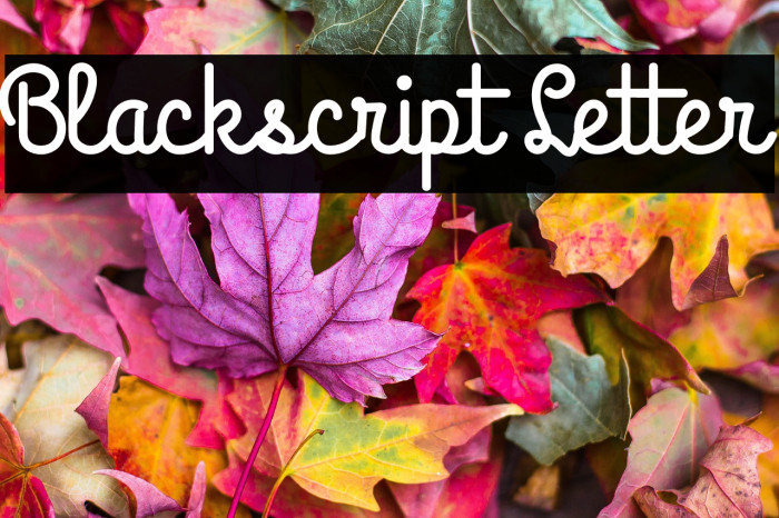 Blackscript Letter Example 1