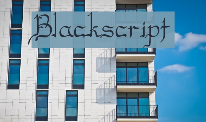 Blackscript Font examples