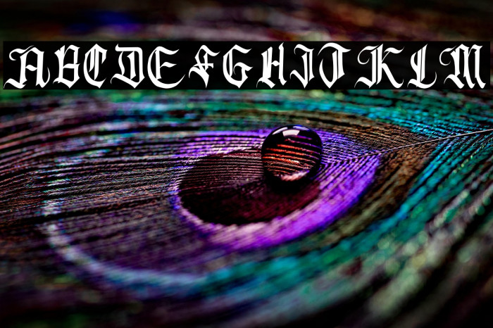 Blackshadow Example 3