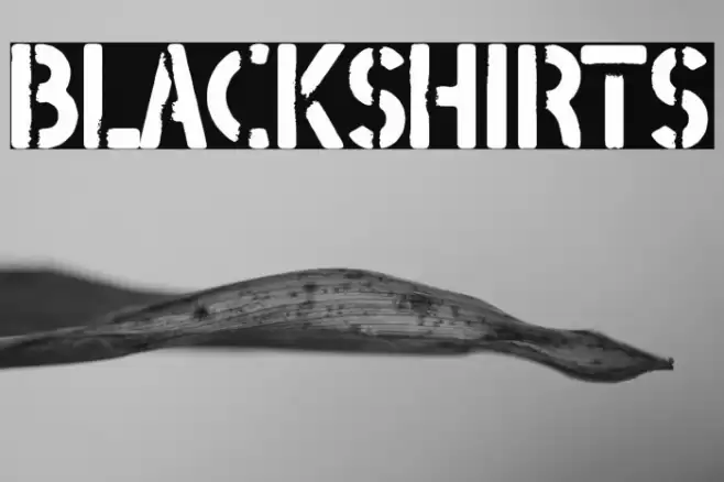 Blackshirts Font examples