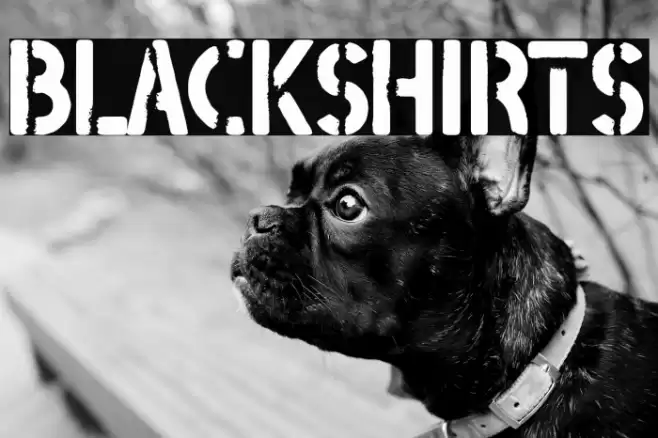 Blackshirts Font examples