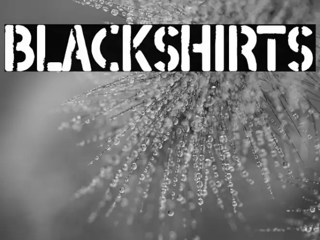 Blackshirts Font examples