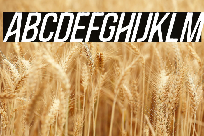 BlacksideItalic Example 1