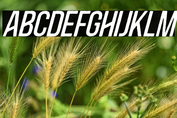 BlacksideItalic Example 3