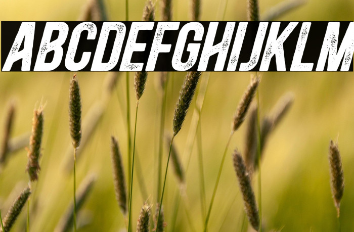 BlacksideRustBold-Italic Example 2