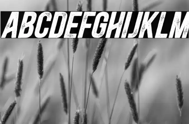 BlacksideRustBold-Italic Font examples