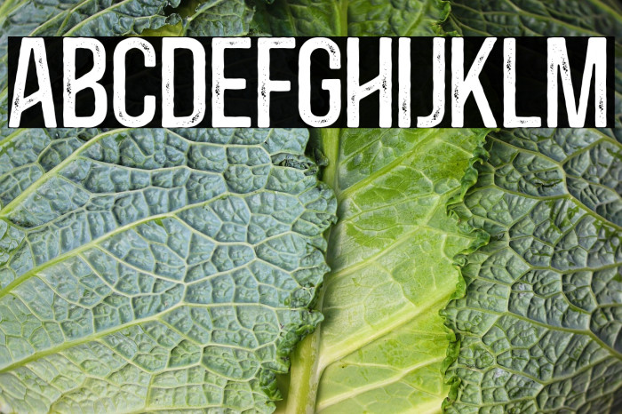 BlacksideRust Example 3