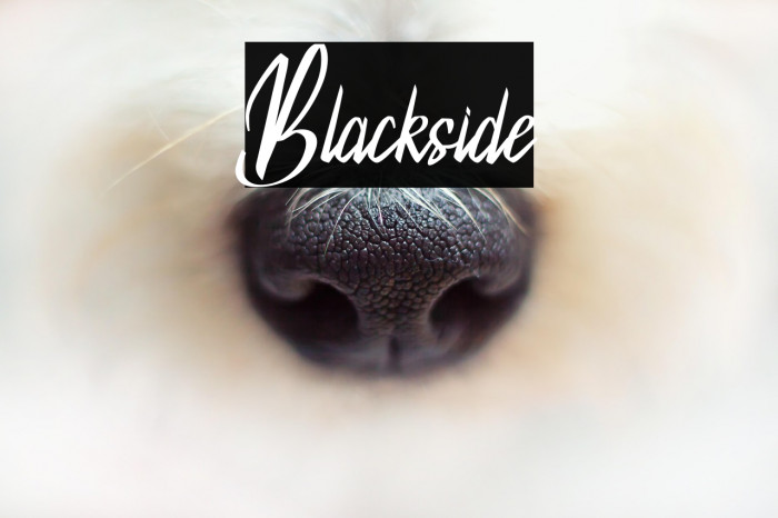 Blackside Example 2