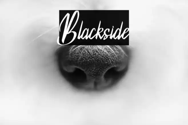 Blackside Font examples