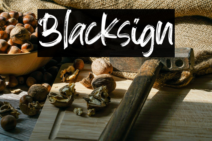 Blacksign Example 3