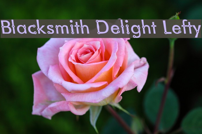 Blacksmith Delight Lefty Font examples