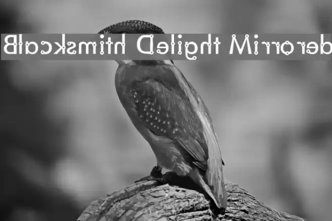 Blacksmith Delight Mirrored Font examples