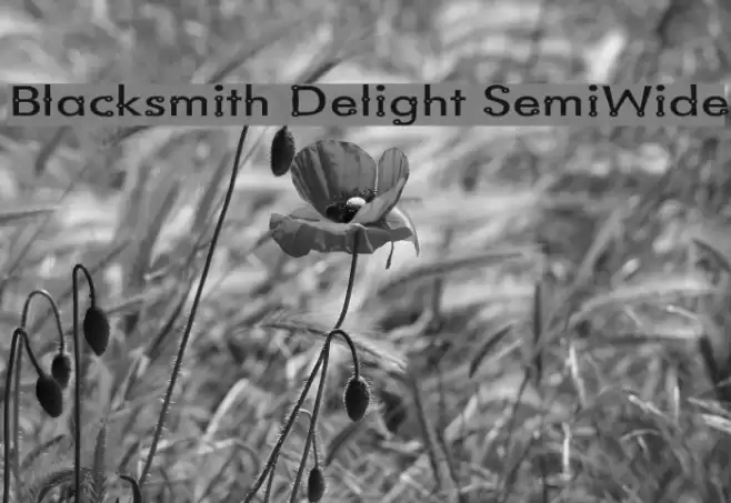 Blacksmith Delight SemiWide Font examples