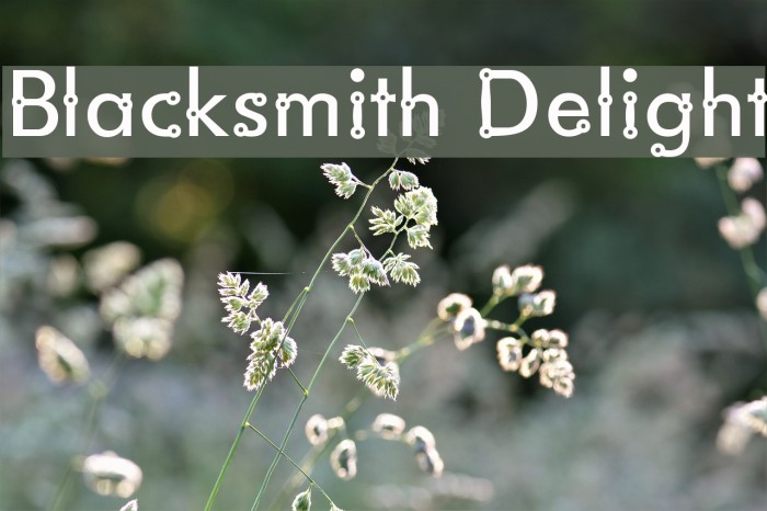 Blacksmith Delight Font examples