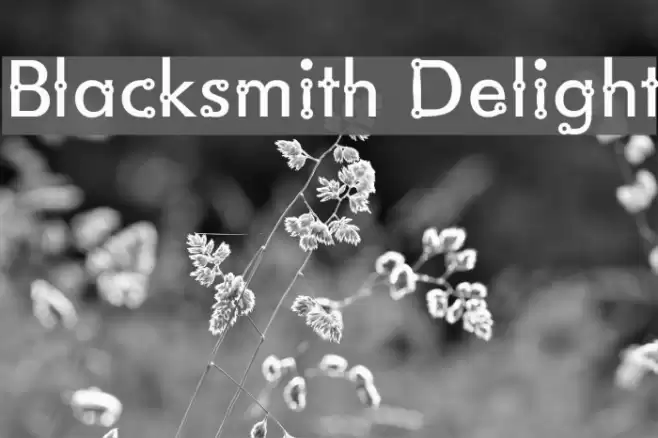Blacksmith Delight フォント examples