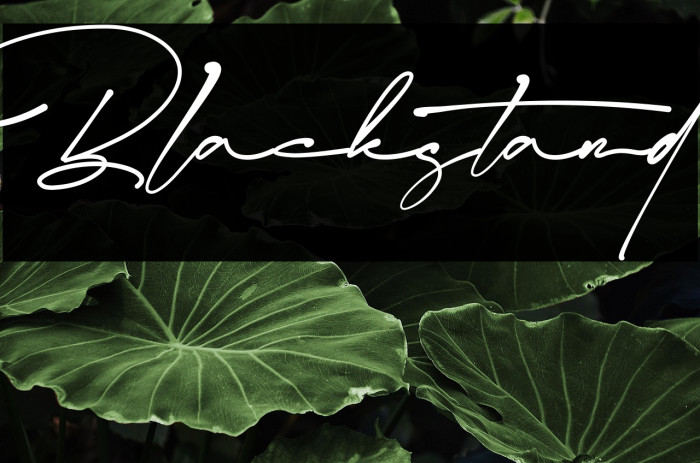 Blackstand Example 3