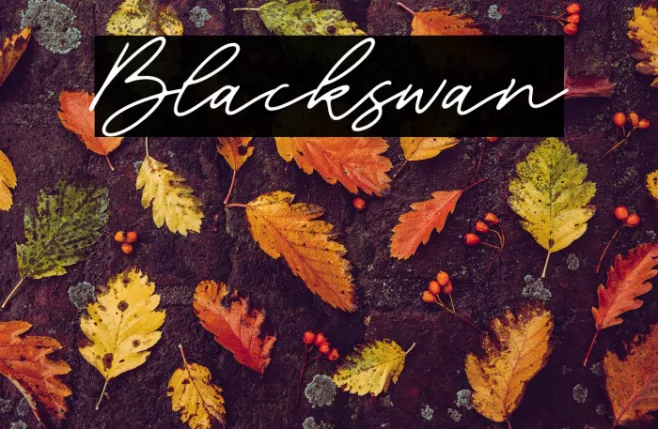 Blackswan Example 1