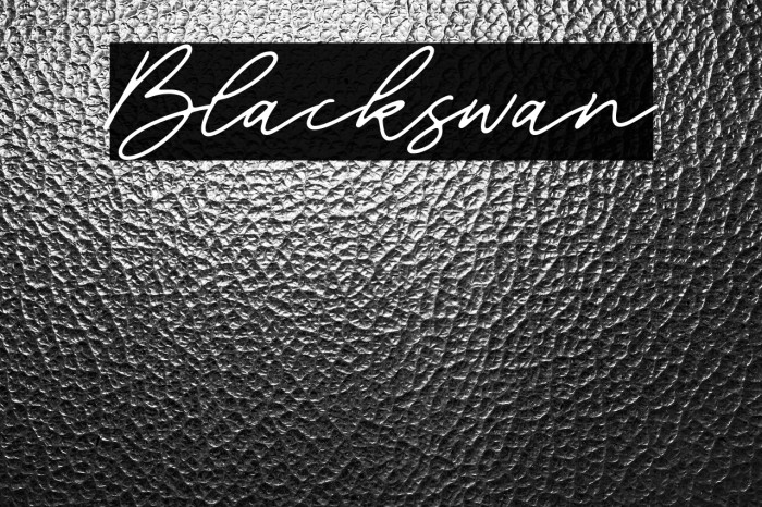 Blackswan Example 3