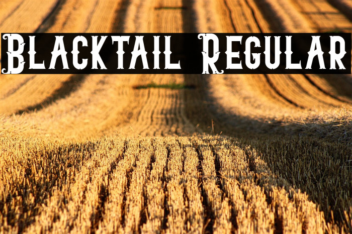 Blacktail Regular Example 1