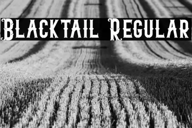 Blacktail Regular Font examples